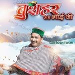Bushahr Se Hai Bhai Ji - Birbal Musafir Song Download